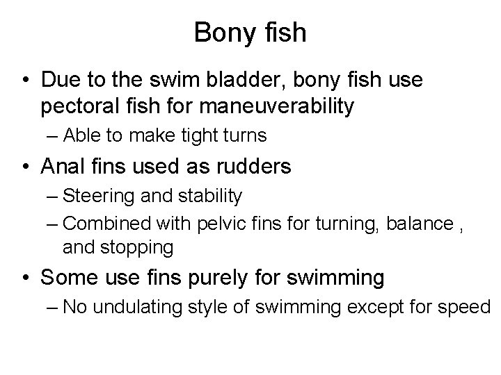 Bony fish • Due to the swim bladder, bony fish use pectoral fish for