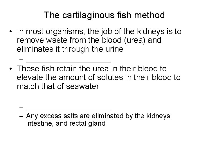 The cartilaginous fish method • In most organisms, the job of the kidneys is