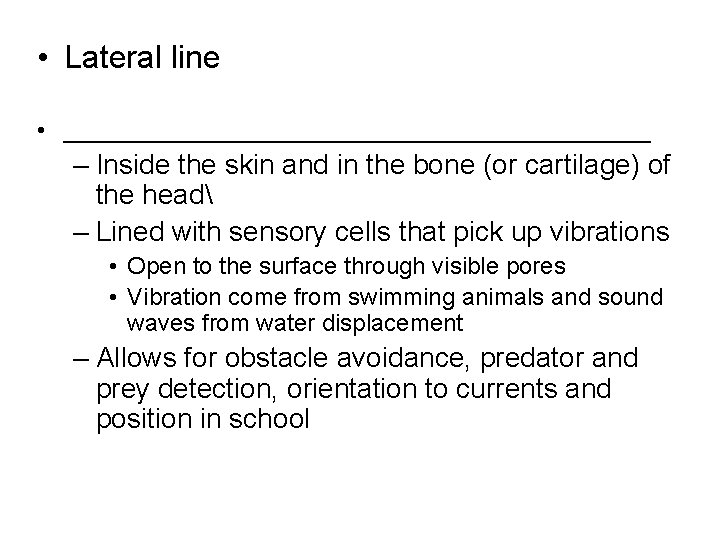  • Lateral line • ______________________ – Inside the skin and in the bone