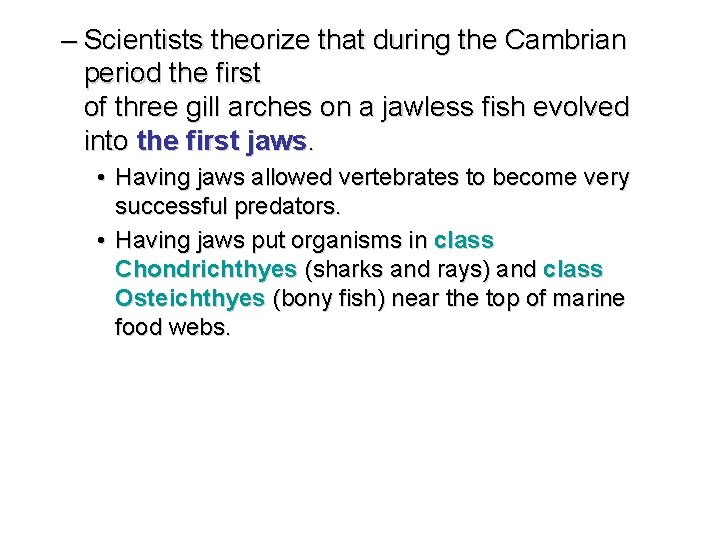 – Scientists theorize that during the Cambrian period the first of three gill arches