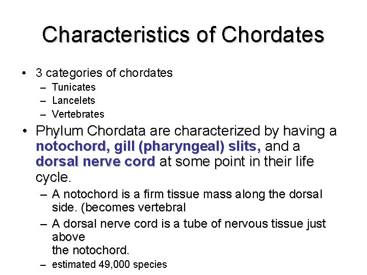 Characteristics of Chordates • 3 categories of chordates – Tunicates – Lancelets – Vertebrates