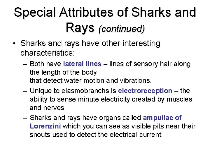 Special Attributes of Sharks and Rays (continued) • Sharks and rays have other interesting