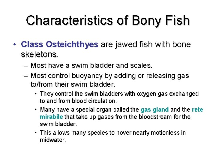Characteristics of Bony Fish • Class Osteichthyes are jawed fish with bone skeletons. –