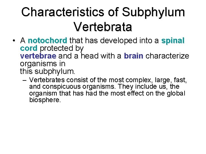 Characteristics of Subphylum Vertebrata • A notochord that has developed into a spinal cord