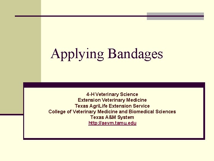 Applying Bandages 4 -H Veterinary Science Extension Veterinary Medicine Texas Agri. Life Extension Service
