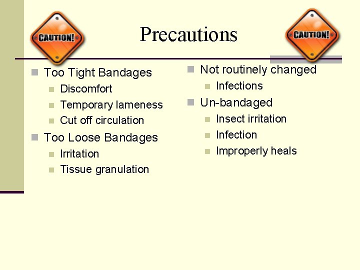 Precautions n Too Tight Bandages n Discomfort n Temporary lameness n Cut off circulation