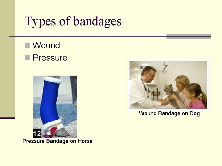 Types of bandages n Wound n Pressure Wound Bandage on Dog Pressure Bandage on