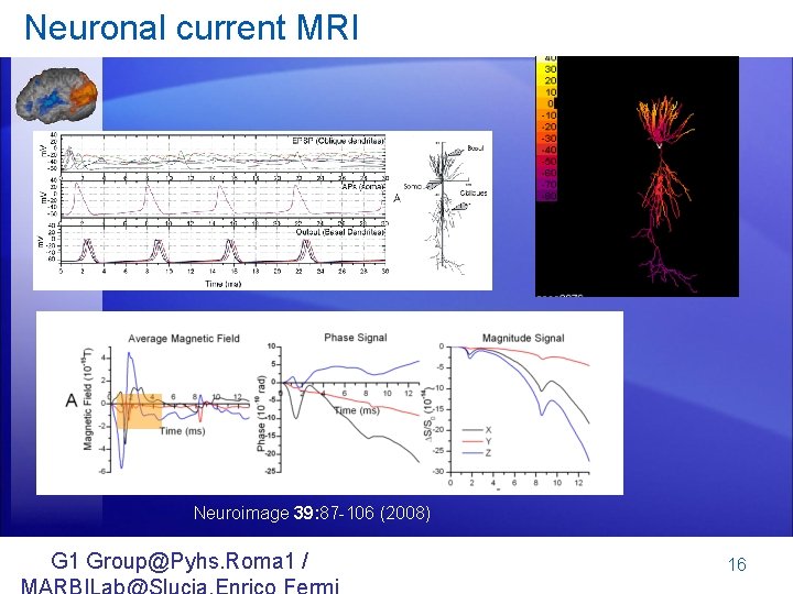 Neuronal current MRI Neuroimage 39: 87 -106 (2008) G 1 Group@Pyhs. Roma 1 /