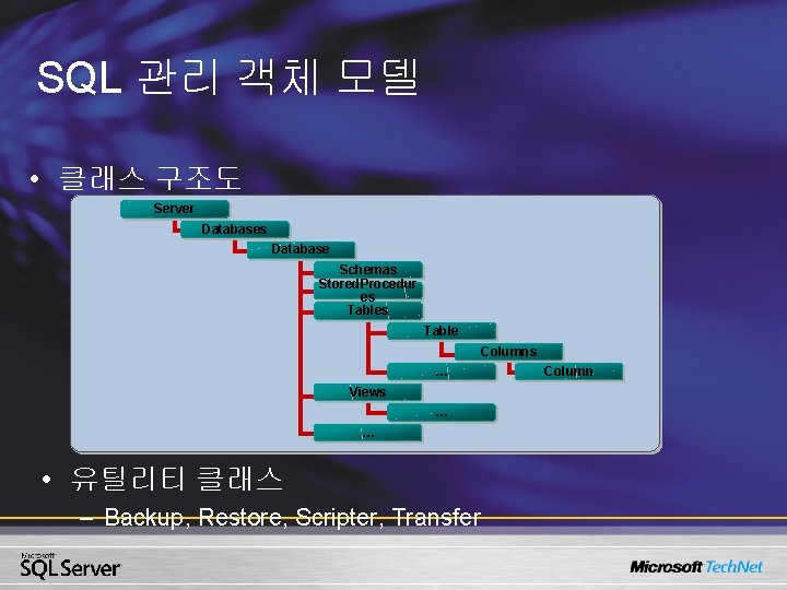 SQL 관리 객체 모델 • 클래스 구조도 Server Databases Database Schemas Stored. Procedur es