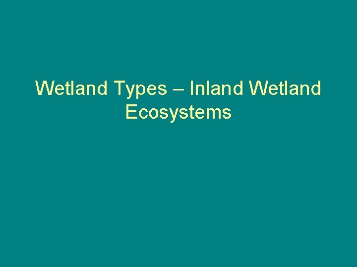 Wetland Types – Inland Wetland Ecosystems 