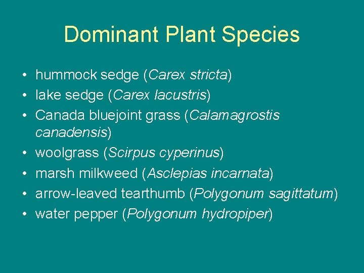 Dominant Plant Species • hummock sedge (Carex stricta) • lake sedge (Carex lacustris) •