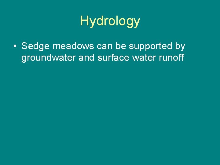 Hydrology • Sedge meadows can be supported by groundwater and surface water runoff 