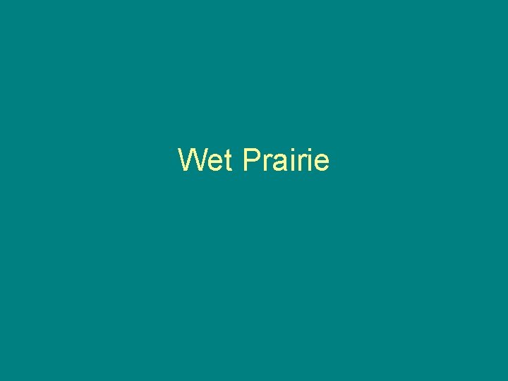 Wet Prairie 