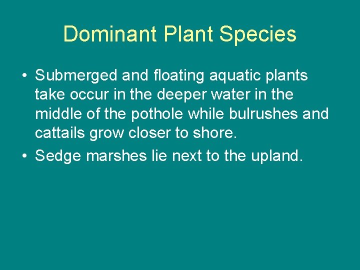 Dominant Plant Species • Submerged and floating aquatic plants take occur in the deeper