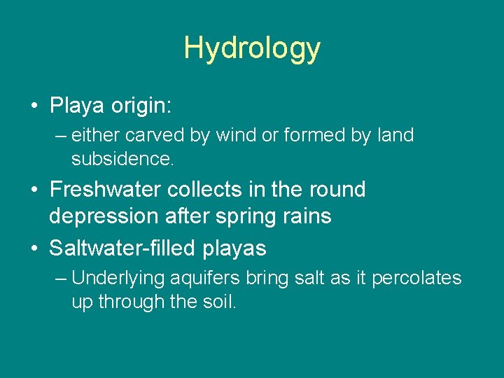 Hydrology • Playa origin: – either carved by wind or formed by land subsidence.