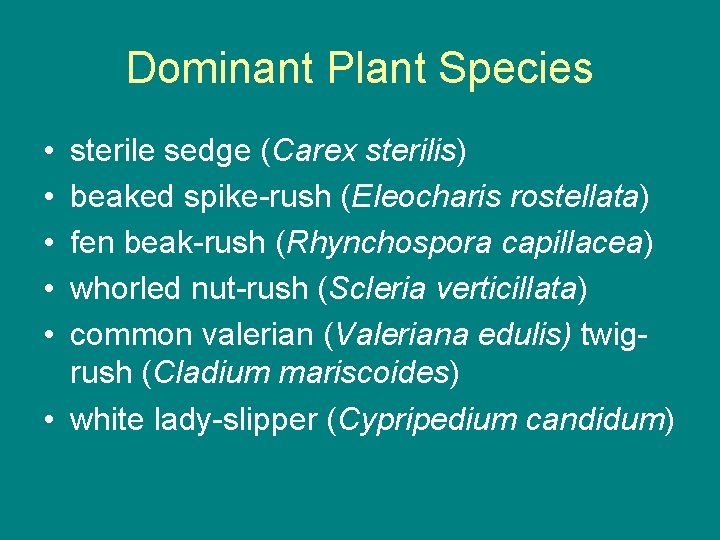 Dominant Plant Species • • • sterile sedge (Carex sterilis) beaked spike-rush (Eleocharis rostellata)