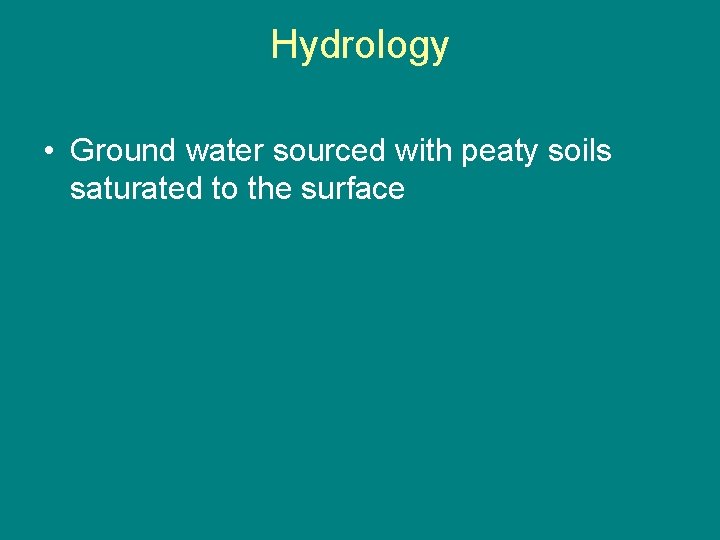 Hydrology • Ground water sourced with peaty soils saturated to the surface 
