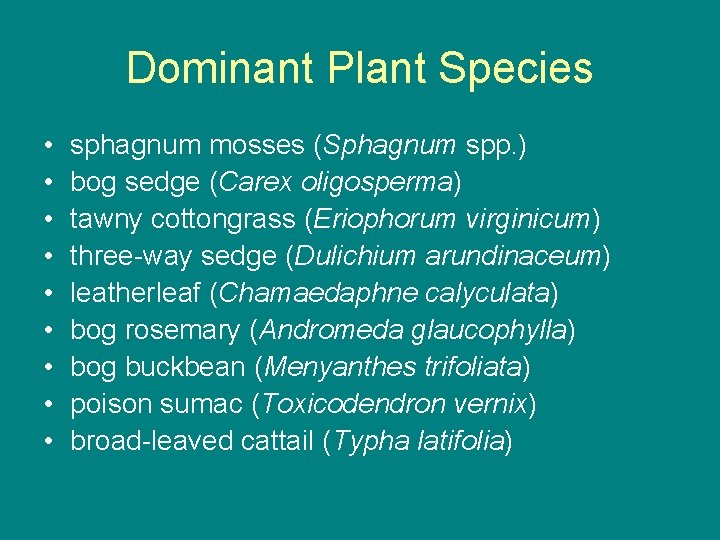 Dominant Plant Species • • • sphagnum mosses (Sphagnum spp. ) bog sedge (Carex