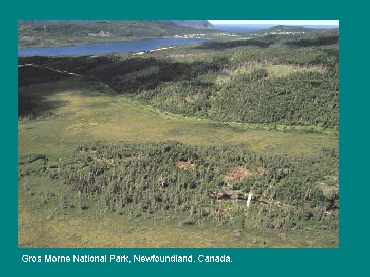 Gros Morne National Park, Newfoundland, Canada. 