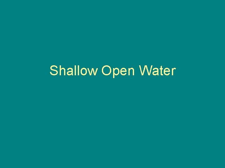 Shallow Open Water 