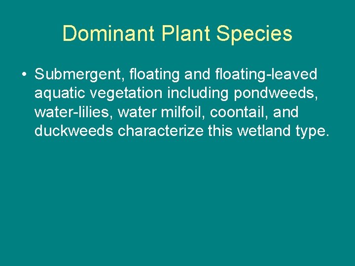 Dominant Plant Species • Submergent, floating and floating-leaved aquatic vegetation including pondweeds, water-lilies, water