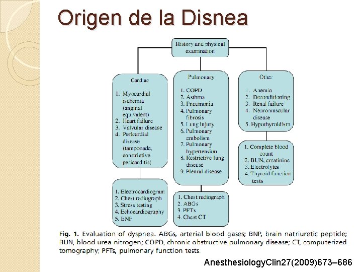 Origen de la Disnea Anesthesiology. Clin 27(2009)673– 686 Origen de la Disnea Anesthesiology. Clin 27(2009)673– 686