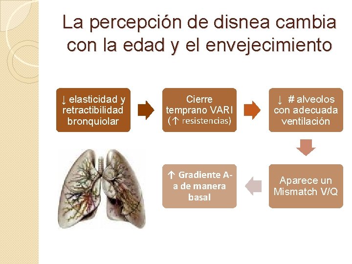 La percepción de disnea cambia con la edad y el envejecimiento ↓ elasticidad y La percepción de disnea cambia con la edad y el envejecimiento ↓ elasticidad y