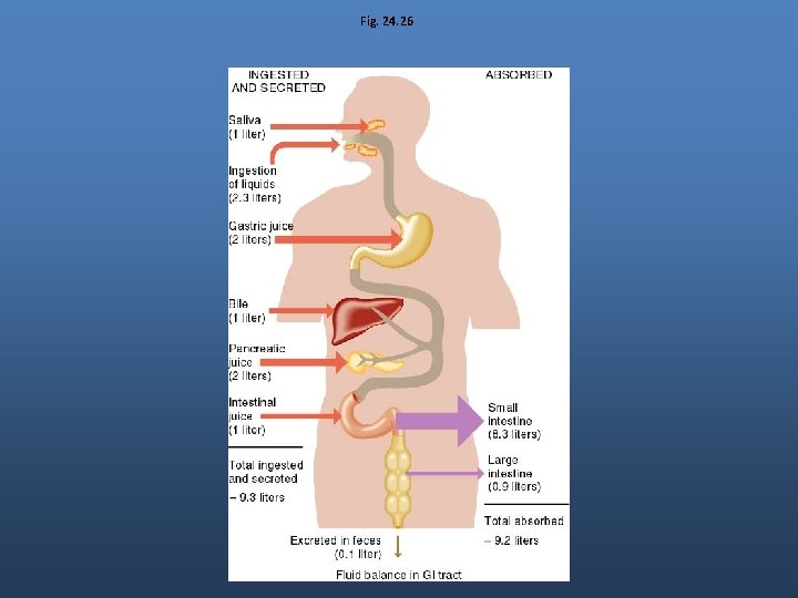 Fig. 24. 26 Fig. 24. 26
