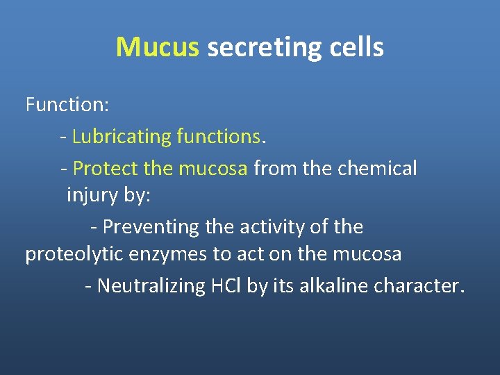 Mucus secreting cells Function: - Lubricating functions. - Protect the mucosa from the chemical Mucus secreting cells Function: - Lubricating functions. - Protect the mucosa from the chemical
