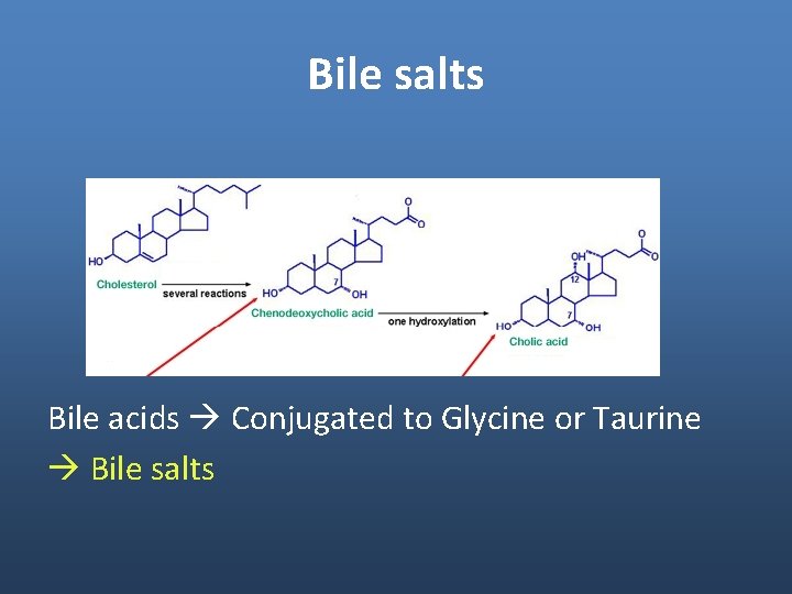 Bile salts Bile acids Conjugated to Glycine or Taurine Bile salts Bile salts Bile acids Conjugated to Glycine or Taurine Bile salts