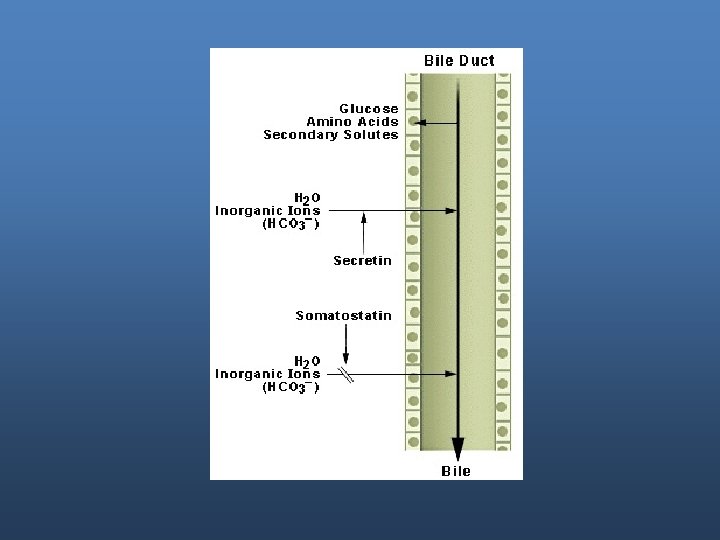 Bile salts Bile salts