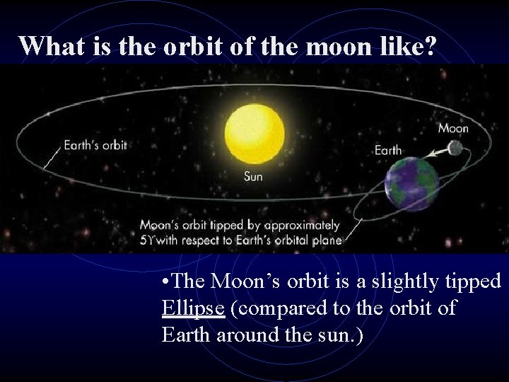 What is the orbit of the moon like? • The Moon’s orbit is a