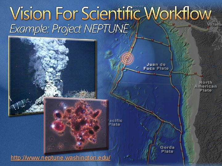 http: //www. neptune. washington. edu/ 