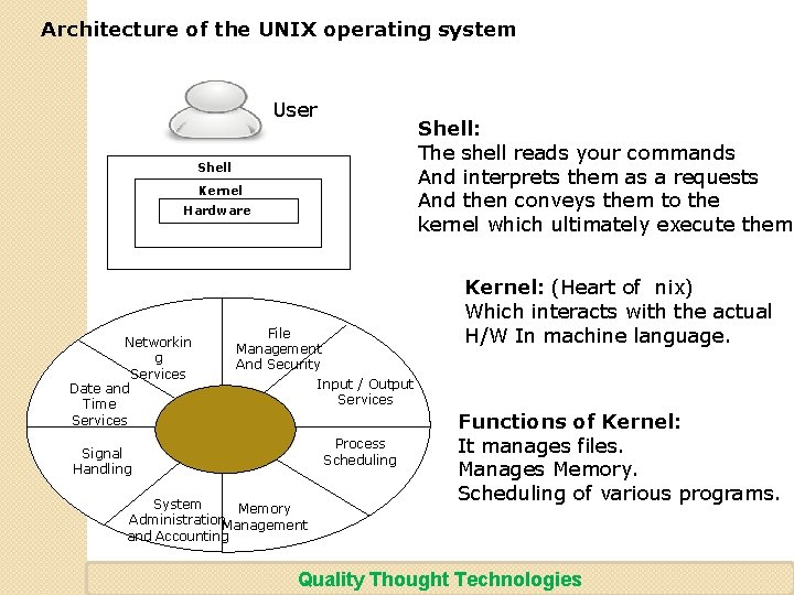 Architecture of the UNIX operating system User Shell: The shell reads your commands And