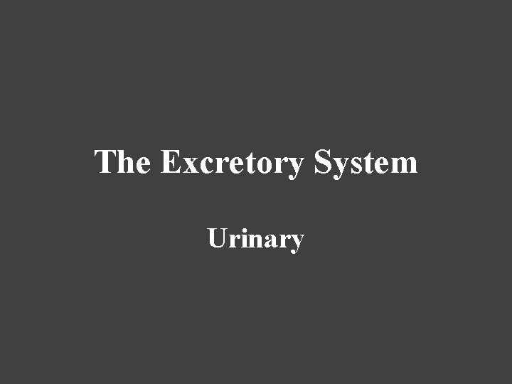 The Excretory System Urinary 
