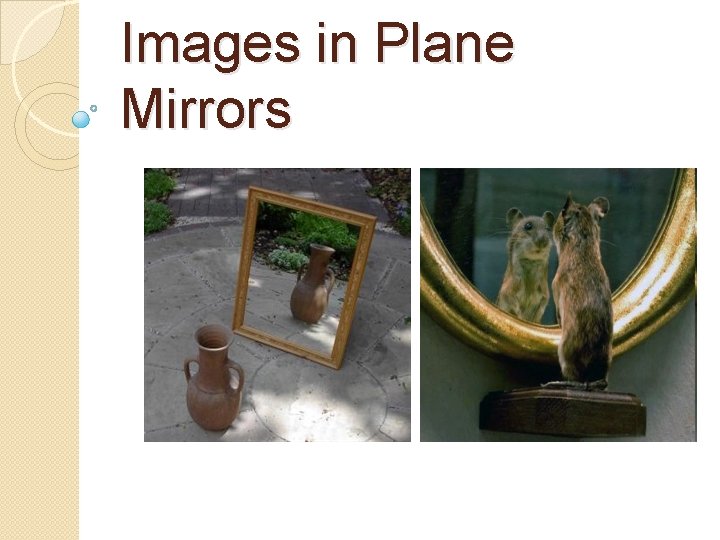 Images in Plane Mirrors 
