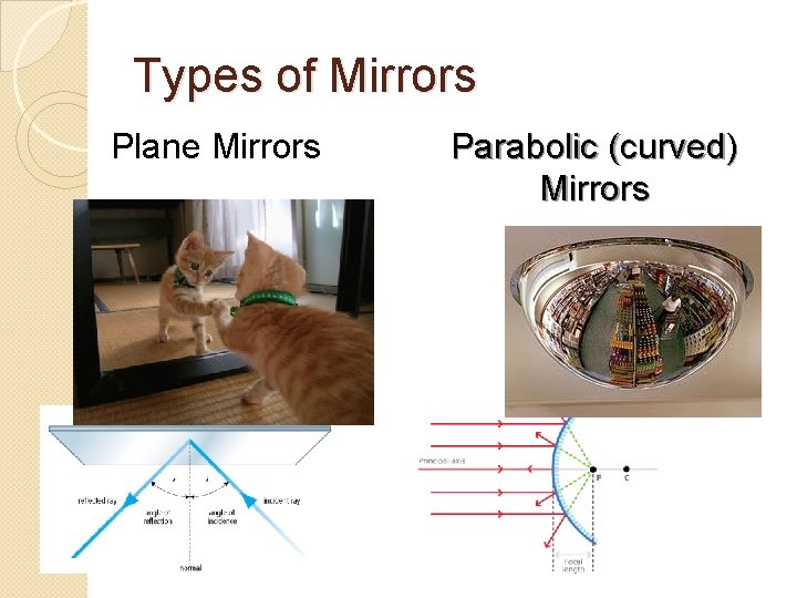 Types of Mirrors Plane Mirrors Parabolic (curved) Mirrors 