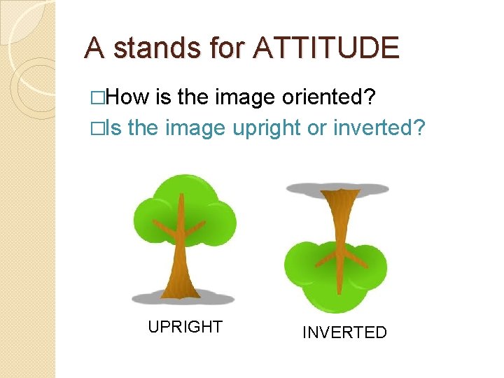 A stands for ATTITUDE �How is the image oriented? �Is the image upright or