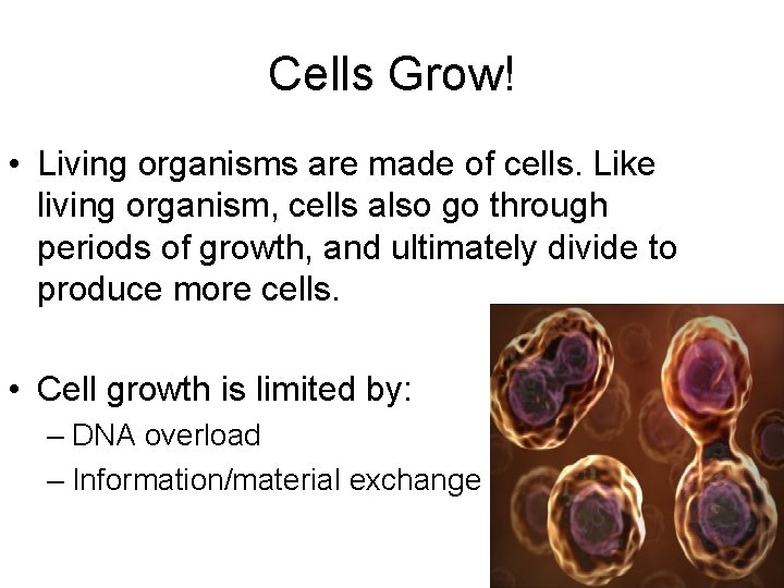 Cells Grow! • Living organisms are made of cells. Like living organism, cells also