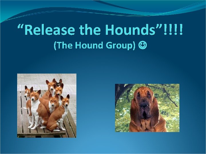 “Release the Hounds”!!!! (The Hound Group) 