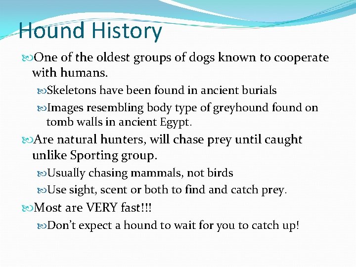 Hound History One of the oldest groups of dogs known to cooperate with humans.