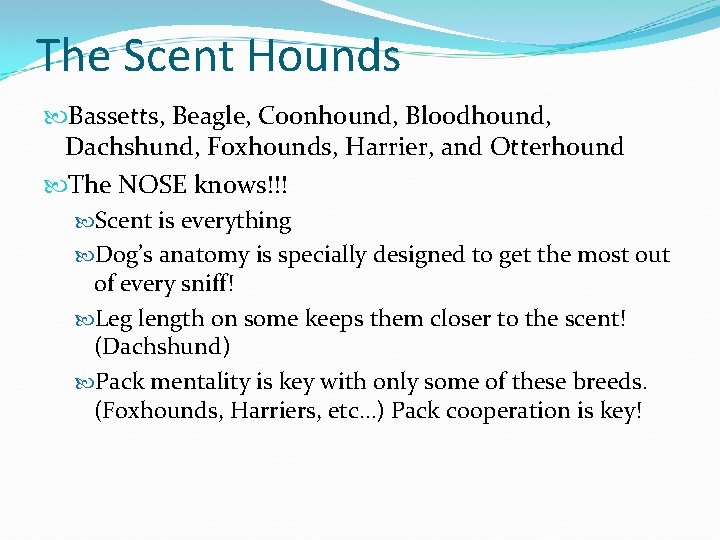 The Scent Hounds Bassetts, Beagle, Coonhound, Bloodhound, Dachshund, Foxhounds, Harrier, and Otterhound The NOSE