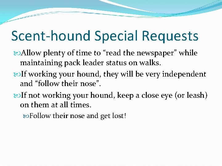 Scent-hound Special Requests Allow plenty of time to “read the newspaper” while maintaining pack