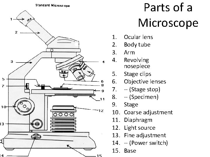 Parts of a Microscope 1. 2. 3. 4. 5. 6. 7. 8. 9. 10. Parts of a Microscope 1. 2. 3. 4. 5. 6. 7. 8. 9. 10.