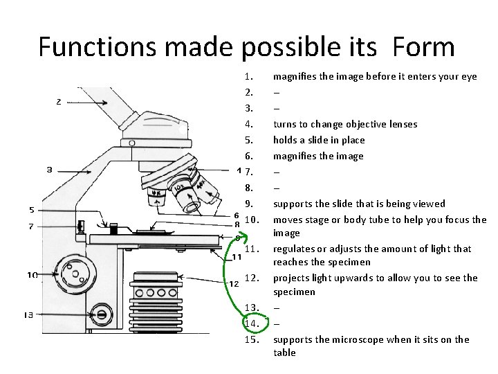 Functions made possible its Form 1. 2. 3. 4. 5. 6. 7. 8. 9. Functions made possible its Form 1. 2. 3. 4. 5. 6. 7. 8. 9.