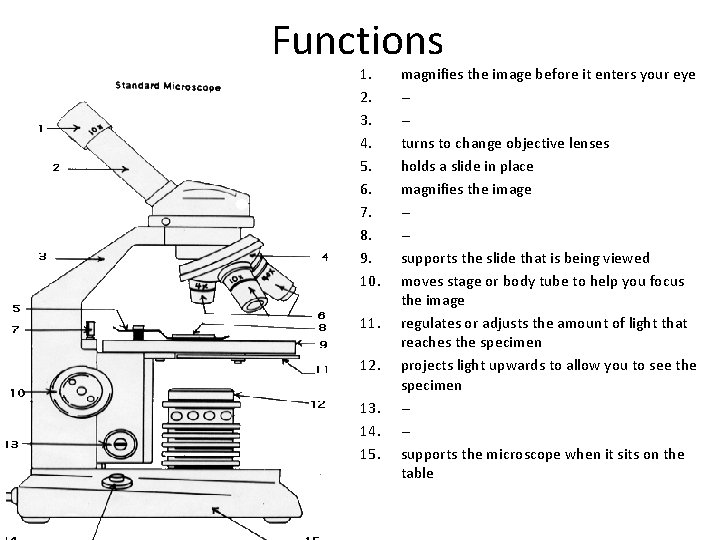 Functions 1. 2. 3. 4. 5. 6. 7. 8. 9. 10. 11. 12. 13. Functions 1. 2. 3. 4. 5. 6. 7. 8. 9. 10. 11. 12. 13.