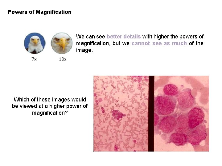 Powers of Magnification We can see better details with higher the powers of magnification, Powers of Magnification We can see better details with higher the powers of magnification,