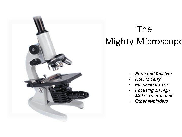 The Mighty Microscope • • • Form and function How to carry Focusing on The Mighty Microscope • • • Form and function How to carry Focusing on