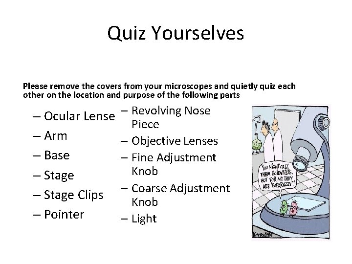 Quiz Yourselves Please remove the covers from your microscopes and quietly quiz each other Quiz Yourselves Please remove the covers from your microscopes and quietly quiz each other
