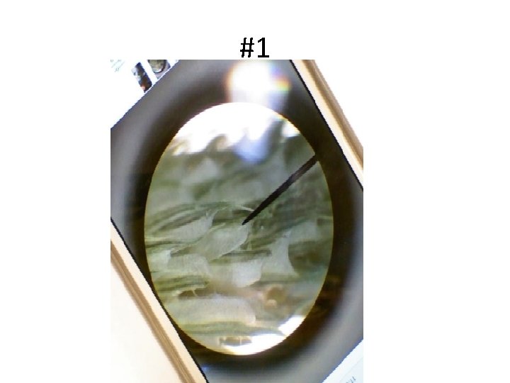 #1 #1